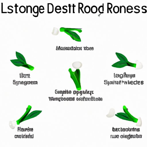 II. 8 Natural Remedies to Regrow Your Bone Loss Caused by Periodontal Disease