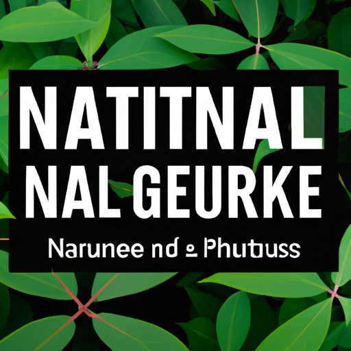 Nature vs Nurture: The Role of Genetics in Mental Illness