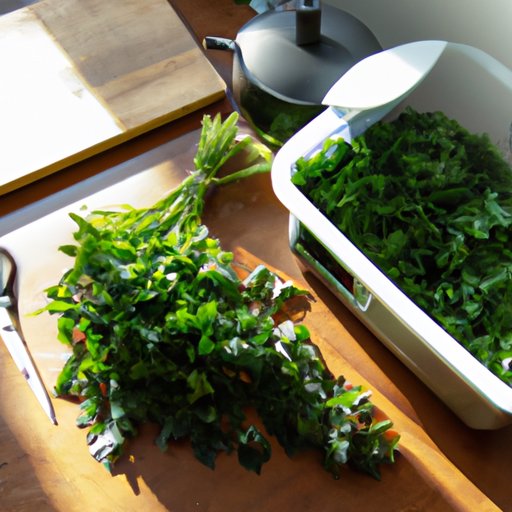 From Garden to Freezer: Ensuring Longevity of Your Parsley Supply