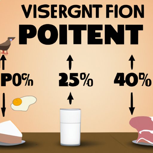 VI. High Protein Diet Explained: Sorting Fact from Fiction