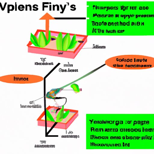 VII. Nutrition for Your Venus Fly Trap: How and When to Feed