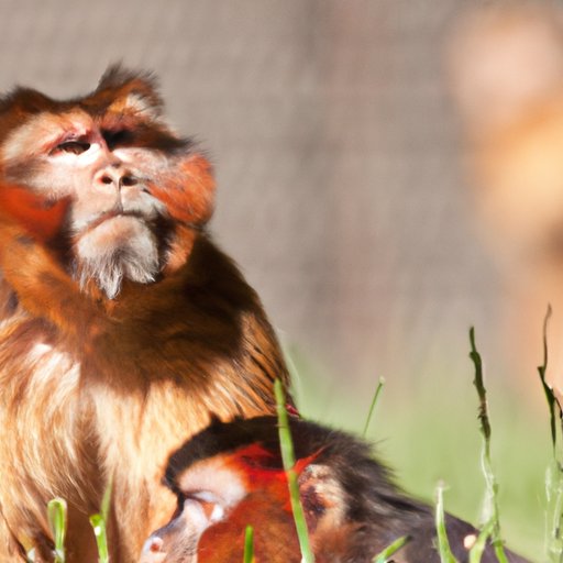 II. Observing his body language 