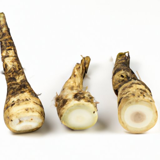 VII. Horseradish 101: An Introduction to This Pungent Ingredient