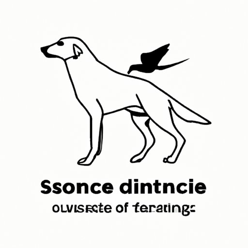 V. Science Behind Bird Dog Exercise