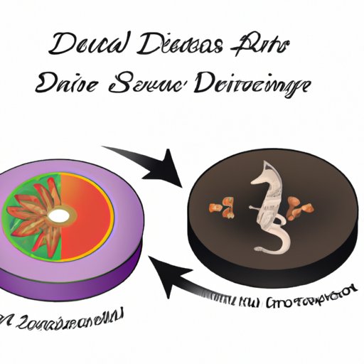  Comparing Traditional and Alternative Treatments for Degenerative Disc Disease 