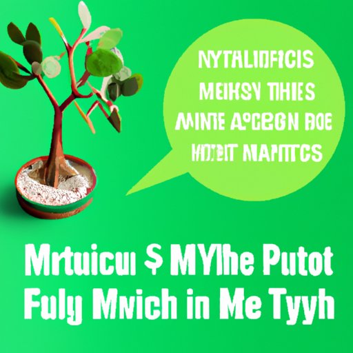 Debunking Myths: Separating Facts from Fiction in Money Tree Care