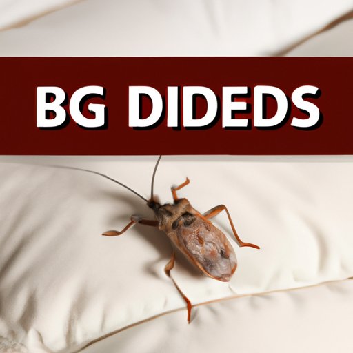 What are Bed Bug Symptoms? A Comprehensive Guide The Cognition Sentinel
